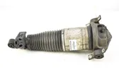 Rear shock absorber/damper