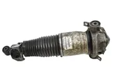 Rear shock absorber/damper