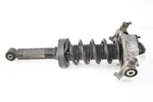 Rear shock absorber/damper