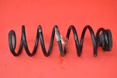 Rear coil spring