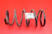 Rear coil spring