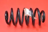 Rear coil spring