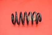 Rear coil spring