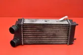 Intercooler radiator