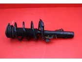 Front shock absorber/damper