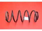 Front coil spring