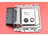 Engine control unit/module ECU