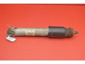 Rear shock absorber/damper