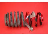 Rear coil spring