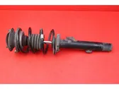 Front shock absorber/damper