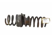 Rear coil spring