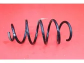 Front coil spring