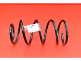 Front coil spring