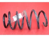 Front coil spring