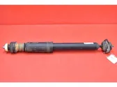 Rear shock absorber/damper