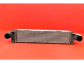 Radiador intercooler