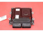 Engine control unit/module ECU