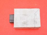 Motorsteuergerät ECU