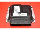 Engine control unit/module ECU