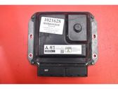 Motorsteuergerät ECU