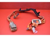Other wiring loom