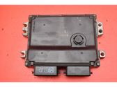 Engine control unit/module ECU