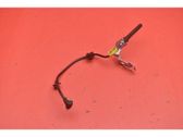GPS Antenne