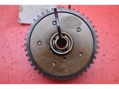 Crankshaft pulley