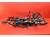 Other wiring loom