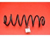 Muelle espiral trasero