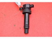 High voltage ignition coil