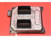 Engine control unit/module ECU
