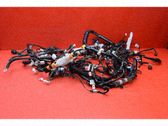 Otros cableados