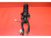 Front shock absorber/damper