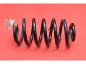 Rear coil spring