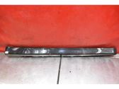 Front sill (body part)