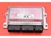 Engine control unit/module ECU