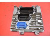 Engine control unit/module ECU