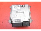Engine control unit/module ECU
