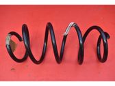 Front coil spring