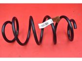 Front coil spring