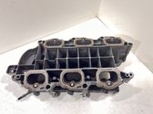 Intake manifold