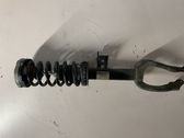 Front shock absorber with coil spring