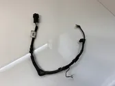 Handbrake wiring loom/harness