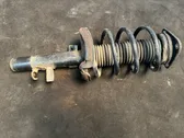 Front shock absorber with coil spring