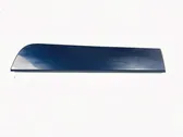 Rear door trim (molding)