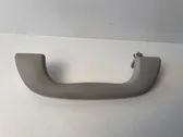 Rear interior roof grab handle