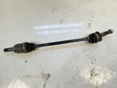 Rear driveshaft