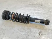 Rear shock absorber with coil spring