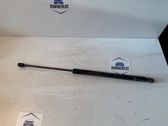 Tailgate/trunk strut/damper
